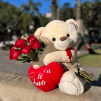 A51- Arranjo 6 Rosas/Ursão