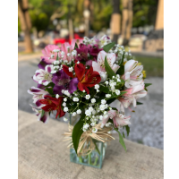 B38- Buquê Astromélias Vidro