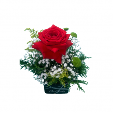 A13-Arranjo Rosa Carinho