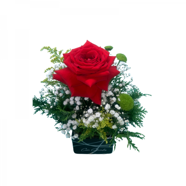 A13-Arranjo Rosa Carinho