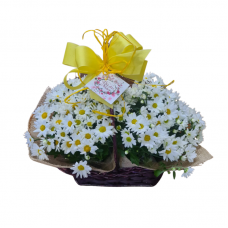 P19-Cesta de Flores Amizade